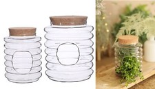 NaDeco Glas-Terrarium