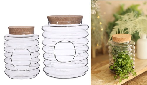 Nadeco glas terrarium - nadeco, glas-terrarium