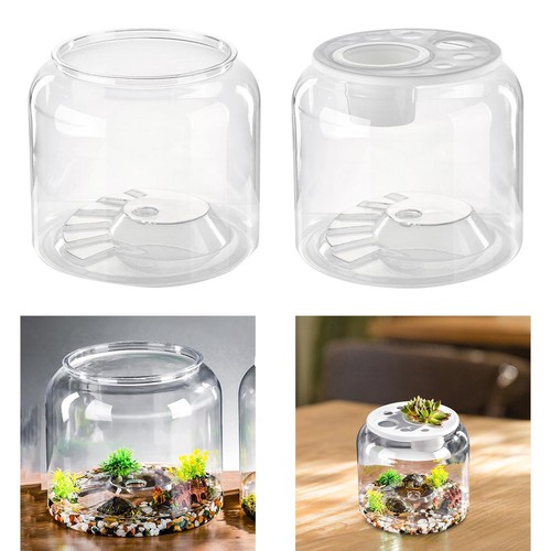 Turtle container wasser - turtle,