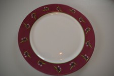 Luminarc Made in France Speiseteller rot/grün Oliven Geschirr