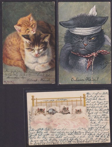Ansichtskarten katzen tolles - ansichtskarten,
