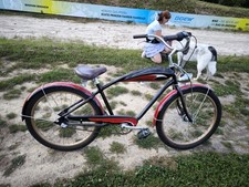 Beachcruiser Der Marke Elektra