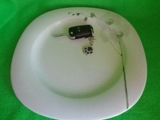 Gourmetteller / Platzteller  31 cm Suomi Rangoon  von Rosenthal mehr da