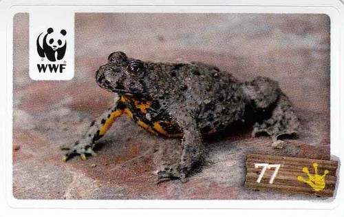 Rewe wwf tier abenteuer - wwf,