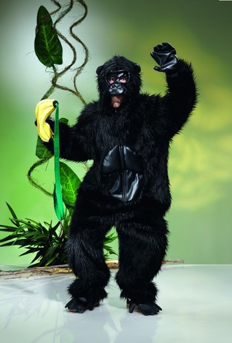 Gorilla gorillakostüm affe - gorilla,