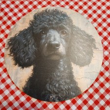 Blechschild Dekoschild Hund Pudel schwarz