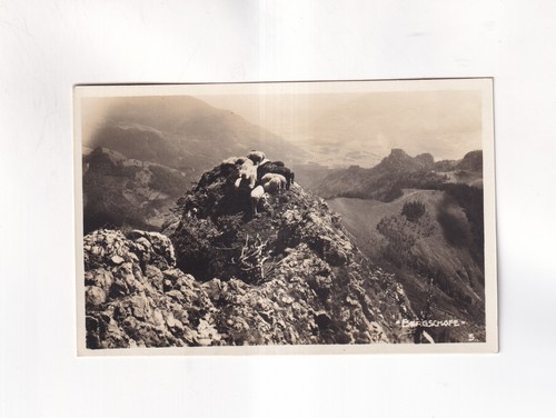 F2461 ansichtskarte st - f2461),