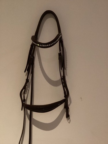 Hannoversches reithalfter - hannoversches,