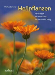 Heilpflanzen ihr wesen ihre - wesen,