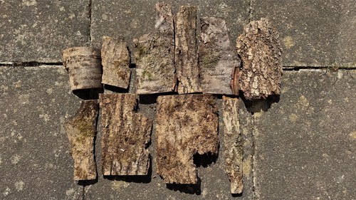 Baumrinde basteln holz - 10, baumrinde,