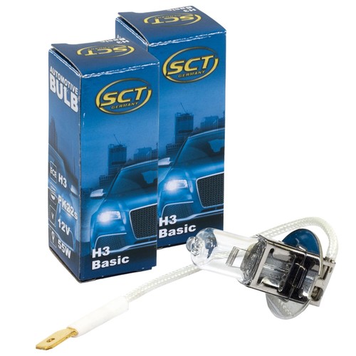 Glühbirne basic 12v - glühbirne,