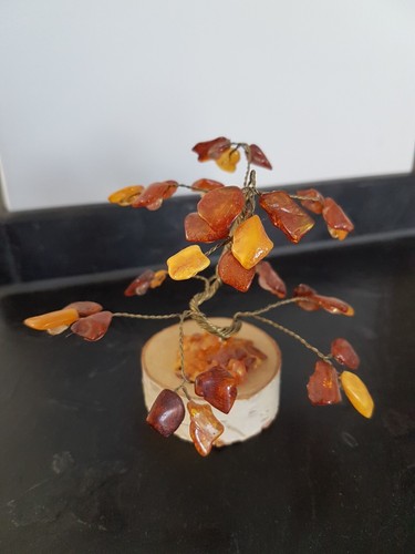 Bernsteinbaum baum bernstein - baum,