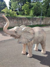 Elefant Kind Baby lebensgross