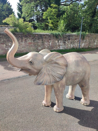 Elefant kind baby - elefant,