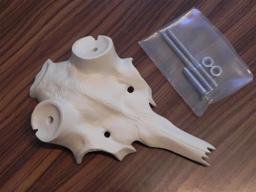Damhirsch kunstschädel 45mm - damhirsch,