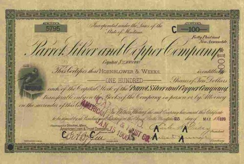 Parrot silver copper 1899 - silver,