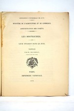 ALTES BUCH BOSTRICHES INVASION