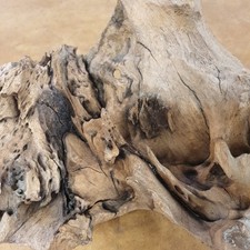 Aquarium Wurzel Mangroven Groß