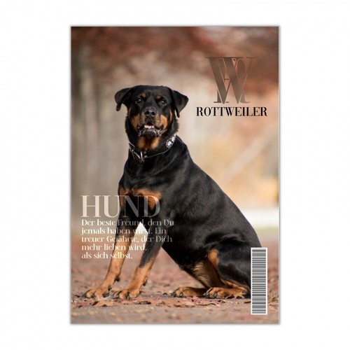 Rottweiler schild dog hund - dog,