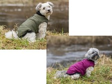 Trixie Wintermantel Arlay