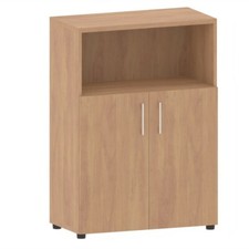 Aktenschrank-Regalkombination