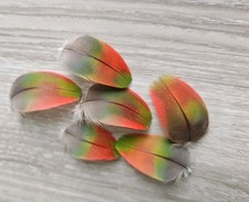 16 x  grün rote?❤️ Vogelfeder Papageienfeder Feder Papagei Ara bastel