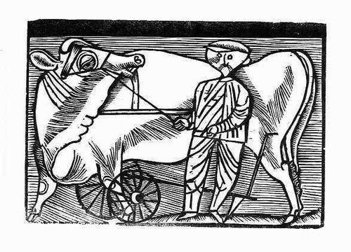 Gerhard marcks ochsenknecht - marcks,