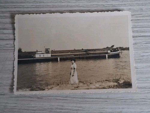 Foto dübener heide - dübener,