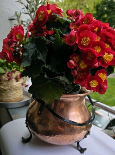 Großer blumentopf übertopf - blumentopf,