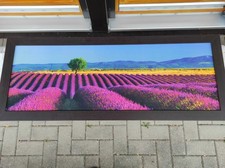 Bild Lavendel Felder Provence Druck auf Karton mit Holzrahmen 108x42cm sehr gut