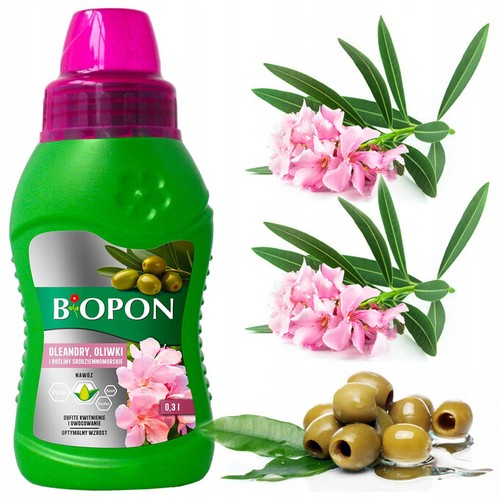Dünger oleander olivenbaum - dünger,