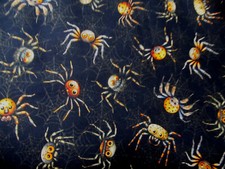 Halloween  Spinne Spinnennetz