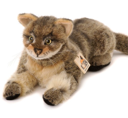 Wildcat wild cat - von, kosen
