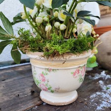 Blumentopf Pflanztopf