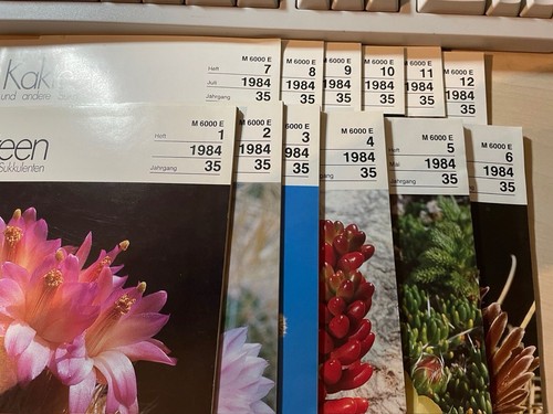 Kakteen und andere sukkulenten - kakteen,