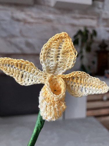 Gehäkelte orchidee - gehäkelte,