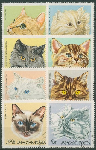 Ungarn 1968 hauskatzen - ungarn,