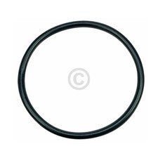 Dichtung Sieb / Pumpentopf