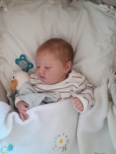 Reborn Puppe Quinlyn by Bonnie Brown & Adrie Stoete - Limited Edition