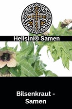 Schwarzes Bilsenkraut Hyoscyamus niger 150 Samen Hellsini®Samen