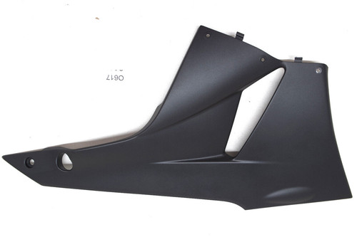 Kawasaki zx6r zx600r bug - zx6r,
