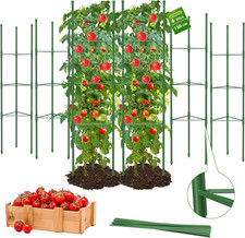 Tomaten rankhilfe stück - tomaten,