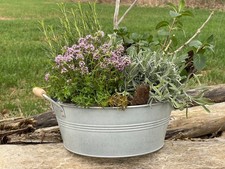 Zinkschale Blumenkübel