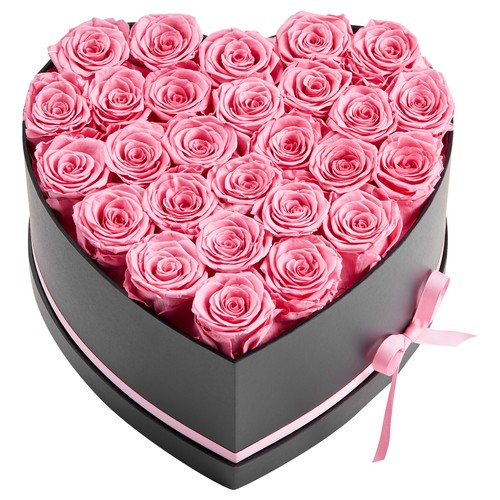 Uimoso 27x konservierte rosen - uimoso,