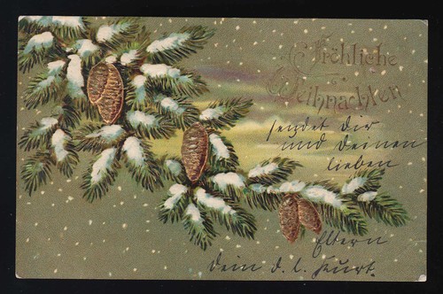 Goldene tannenzapfen schnee - goldene,