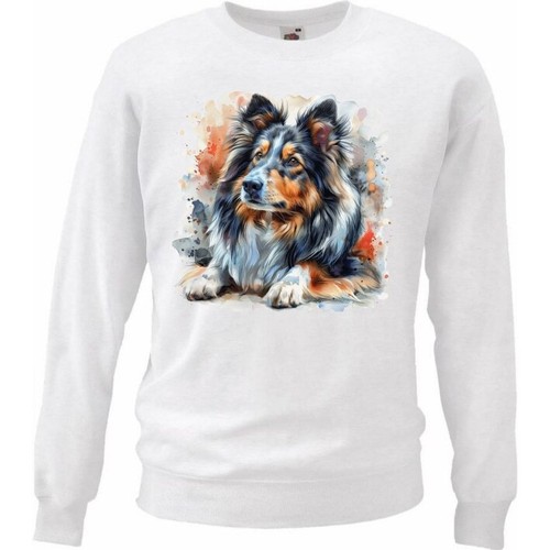 Sweatshirt sweater - sweatshirt,
