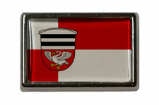 Pin Münster (Hessen)