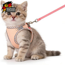 Verstellbares Katzengeschirr