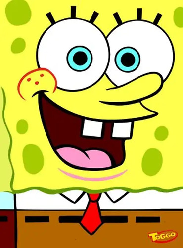 Spongebob schwammkopf - spongebob,