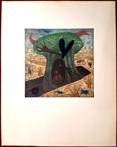 Farb aquatintaradierung der - farb-aquatintaradierung, „der